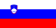 Slovenia flag
