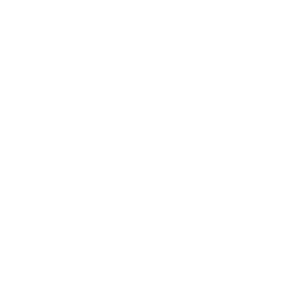Dolvero logo